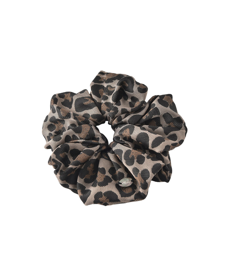 ビッグシュシュ